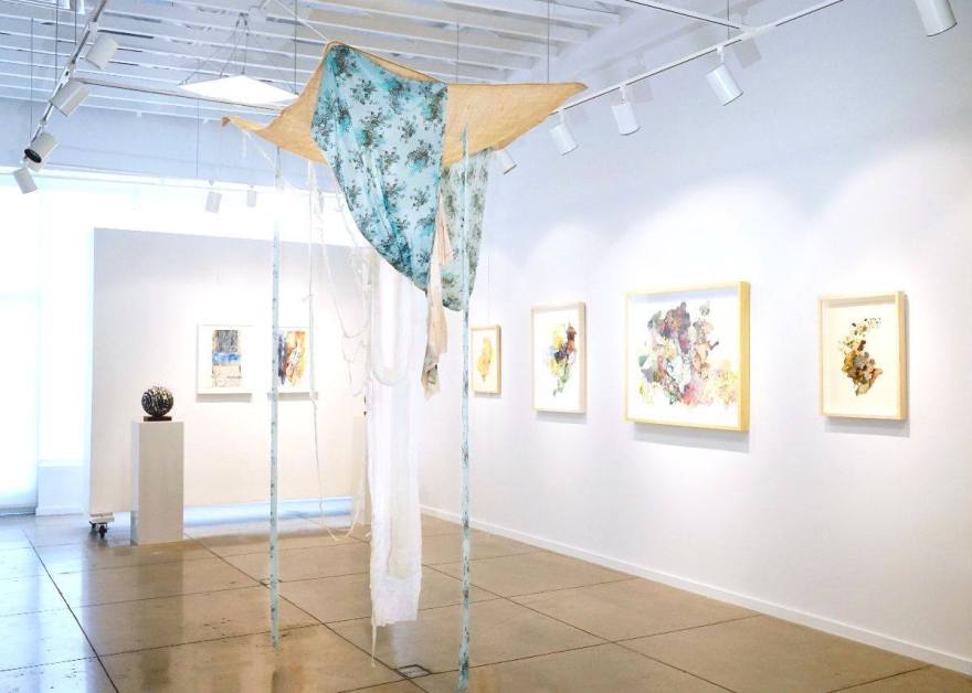 65260100_1547228622080448_1103652079328559104_o